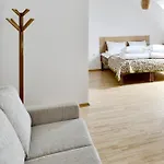 Draugu Namai 3* Druskininkai