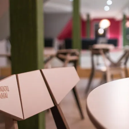 Draugu Namai Druskininkai