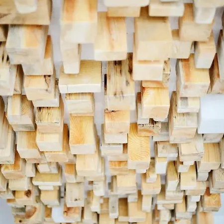 Draugu Namai 3* Druskininkai