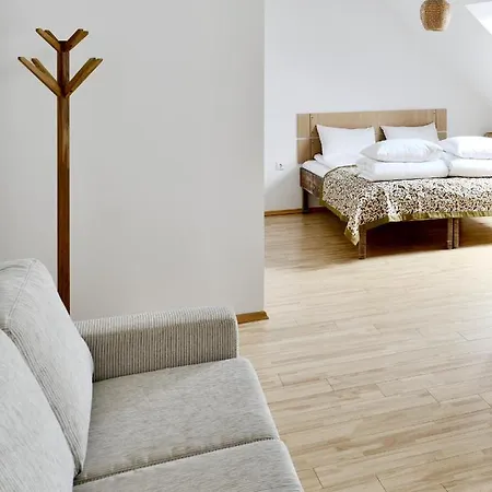 Draugu Namai 3* Druskininkai