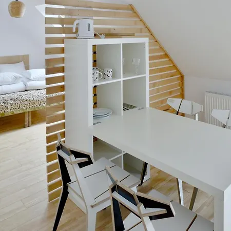 Draugu Namai 3* Druskininkai