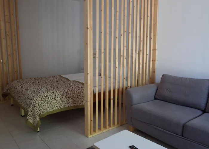 Draugu Namai Druskininkai