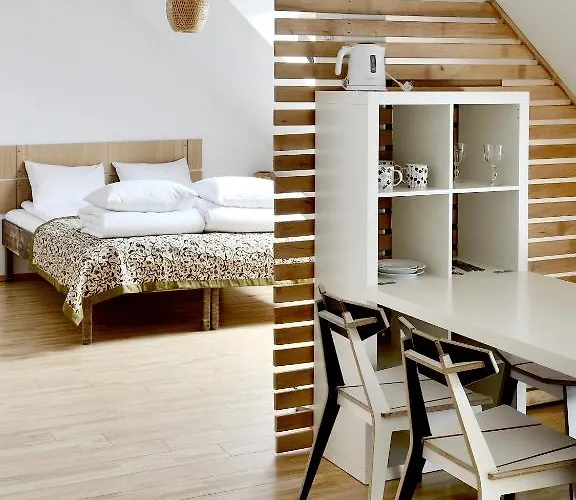 Draugu Namai Druskininkai