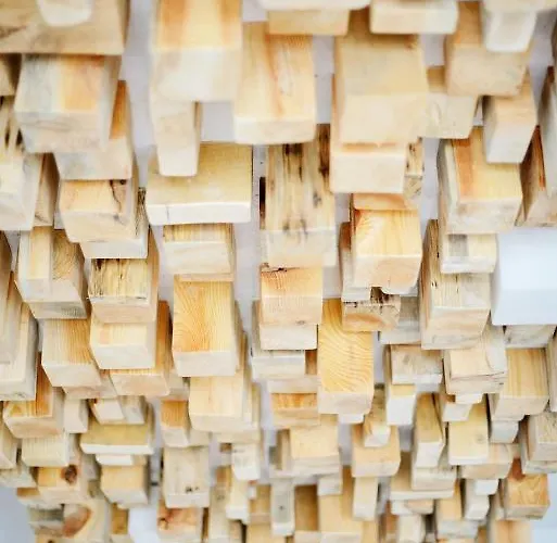 Draugu Namai 3* Druskininkai