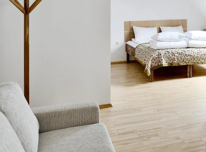 Draugu Namai 3* Druskininkai