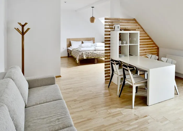 Draugu Namai Druskininkai