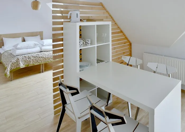 Draugu Namai 3* Druskininkai