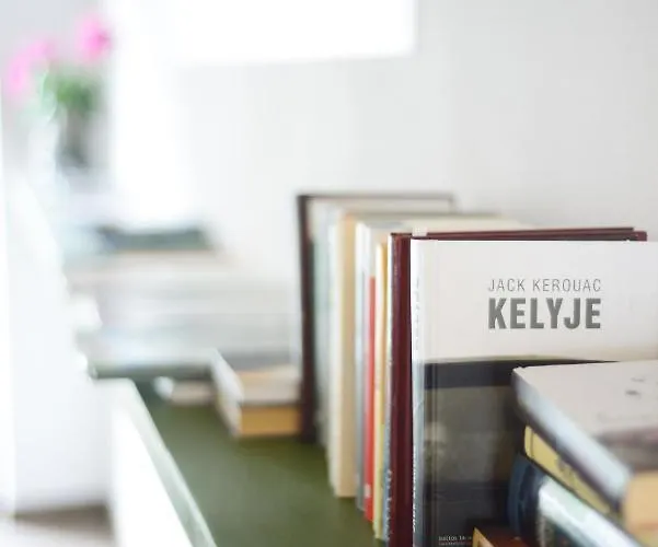 Draugu Namai Druskininkai